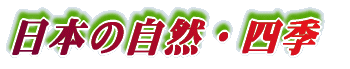 ���{�̎��R�E�l�G 